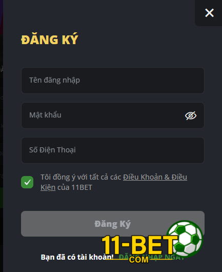 Điền thông tin cá nhân của anh em vào ô đăng ký